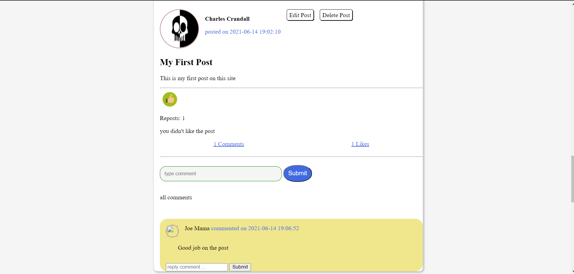 Image of the post page of a mock social media website